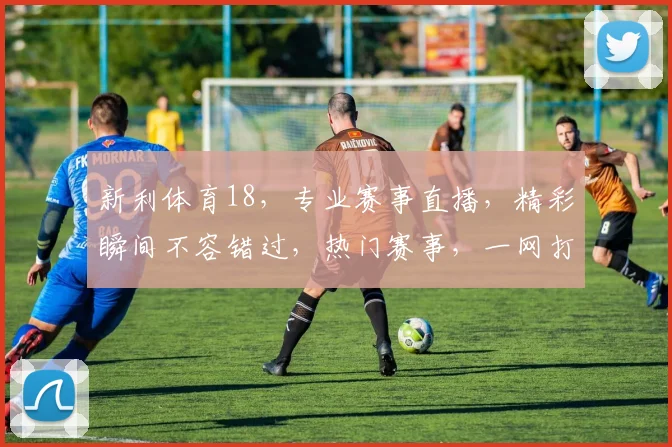 新利体育18，专业赛事直播，精彩瞬间不容错过，热门赛事，一网打尽，尽在新利体育