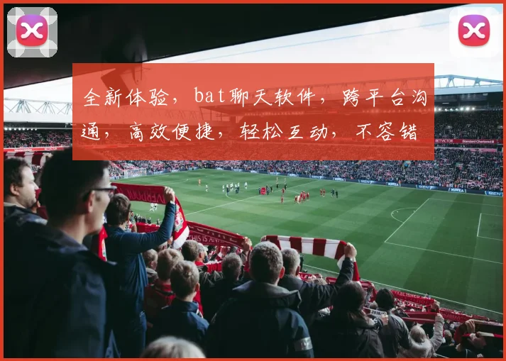 全新体验，bat聊天软件，跨平台沟通，高效便捷，轻松互动，不容错过
