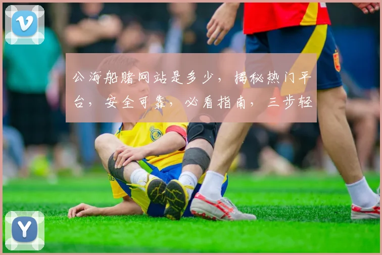 公海船赌网站是多少，揭秘热门平台，安全可靠，必看指南，三步轻松登录